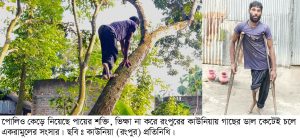 ডালপালা কাটেন কাউনিয়ার ৩৩ বছরের যুবক একরামুল