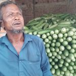 পঞ্চগড়ে লাউয়ের জোড়া ৭ টাকা!