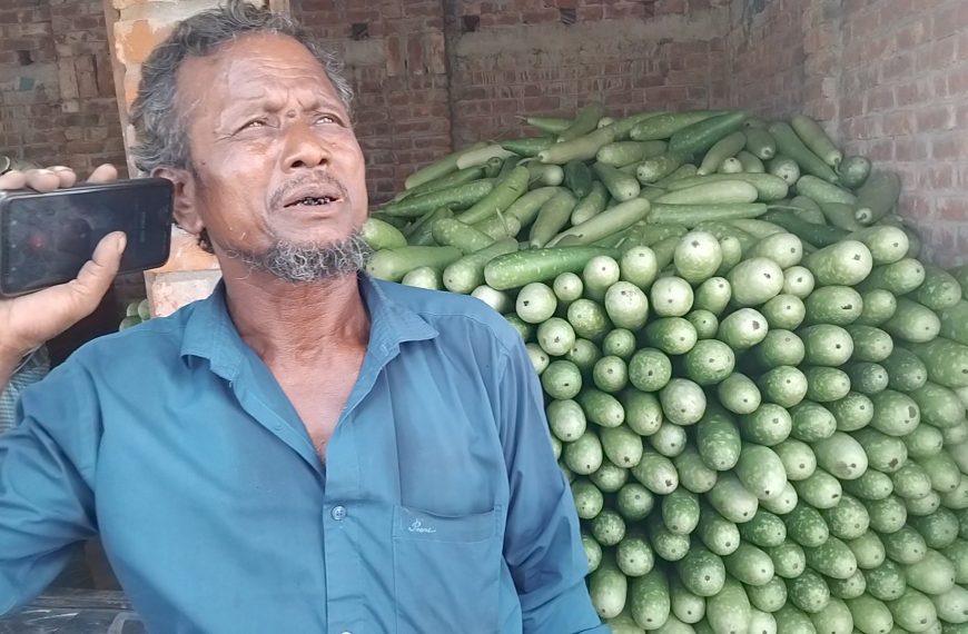 পঞ্চগড়ে লাউয়ের জোড়া ৭ টাকা!