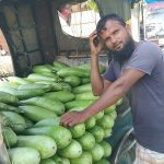 আটোয়ারীতে লাউয়ের দামে ধস, হতাশ চাষীরা