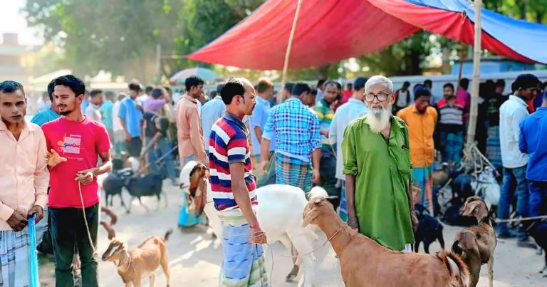 দেবীগঞ্জের কালিগঞ্জ হাটে ছাগল প্রতি ১০০ টাকা অতিরিক্ত&hellip;