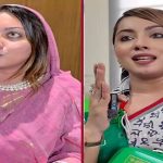‘গুপ্তদের থেকে মেঘনা আলম ১০০ গুণ বেশি বিএনপি’, কেন লিখলেন?