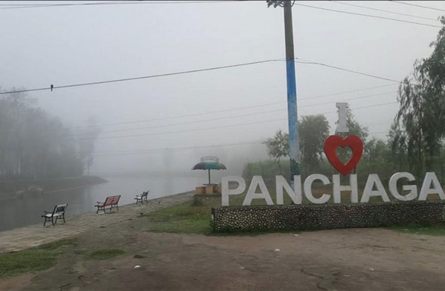 পঞ্চগড় সীমান্তে দুটি ভারতীয় গরু উদ্ধার