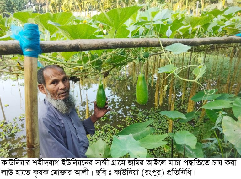 কম খরচে বাড়তি আয়ে খুশি কাউনিয়ার মোক্তার আলী