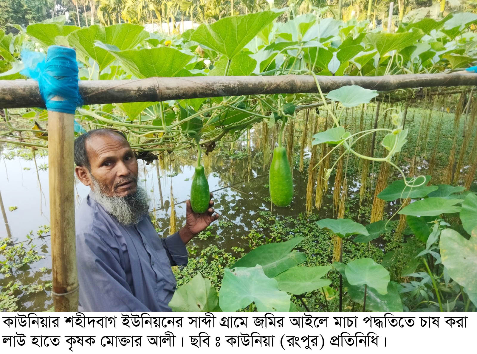 কম খরচে বাড়তি আয়ে খুশি কাউনিয়ার মোক্তার আলী