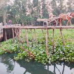 সেতু আছে, সংযোগ সড়ক নেই