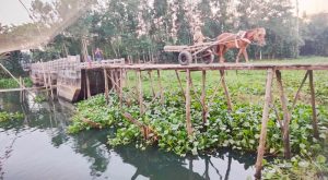 সেতু আছে, সংযোগ সড়ক নেই