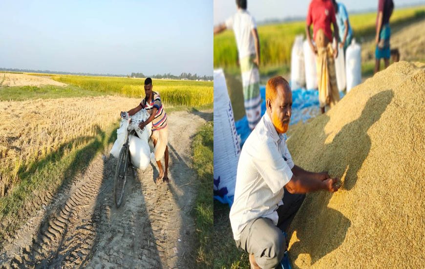 কাউনিয়ার শস্যভান্ডার ঢুসমারায় উন্নয়নের ছোঁয়া নেই, দেখার কেউ নেই