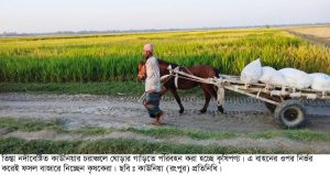 তিস্তার চরে ঘোড়ার গাড়ির চাকা ঘুরছে, কাউনিয়ায় বদলাচ্ছে&hellip;