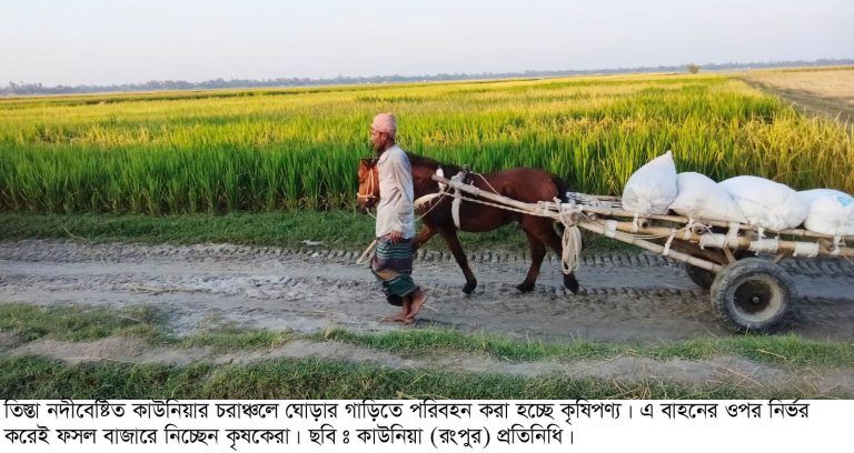তিস্তার চরে ঘোড়ার গাড়ির চাকা ঘুরছে, কাউনিয়ায় বদলাচ্ছে&hellip;
