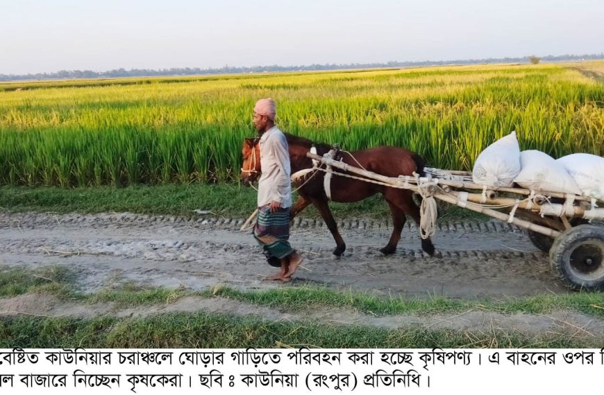 তিস্তার চরে ঘোড়ার গাড়ির চাকা ঘুরছে,…