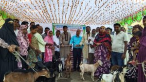 পঞ্চগড়ে মা ছাগল পালন প্রকল্পে সুফলভোগীদের সমাবেশও সমাপনী&hellip;