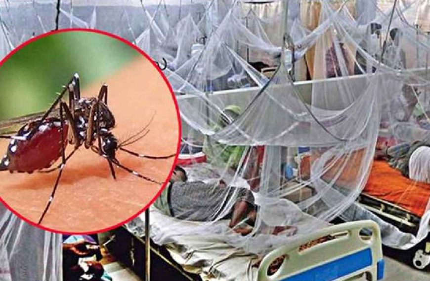ডেঙ্গু পরিস্থিতি মারাত্মক আকার ধারণ করছে, আরও ৭ জনের প্রাণহানি!