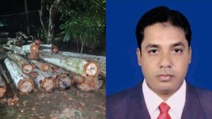 পঞ্চগড়ে অবৈধ ভাবে সরকারি গাছ কর্তন অভিযুক্ত তাঁতী&hellip;