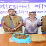 বোদায় চার গাঁজাসহ হারুন আটক