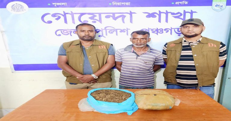 বোদায় চার গাঁজাসহ হারুন আটক
