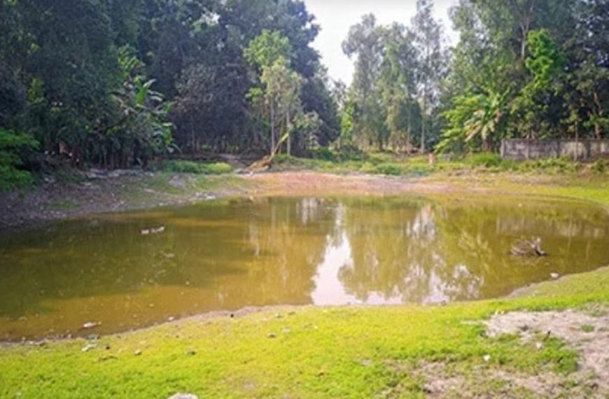 পঞ্চগড়ে বাৎসরিক মাছের ঘাটতি ৪ হাজার…