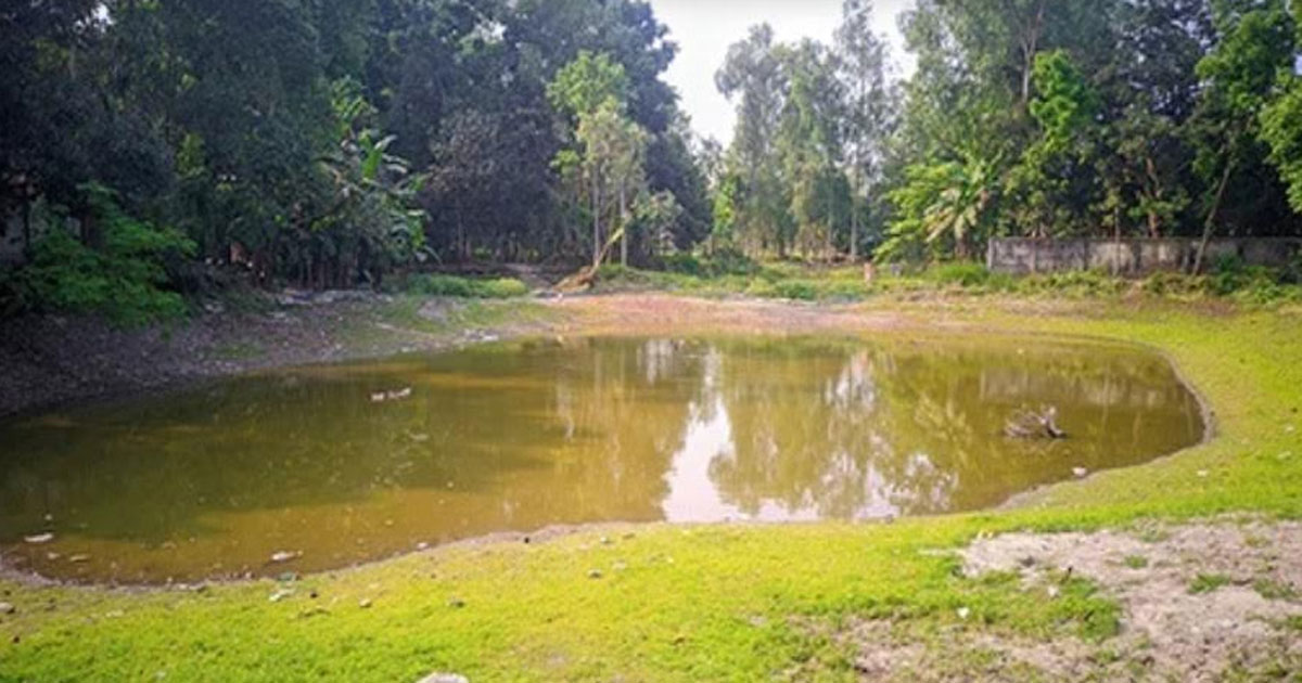 পঞ্চগড়ে বাৎসরিক মাছের ঘাটতি ৪ হাজার মেট্রিক টন