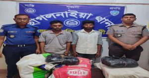ছাগলনাইয়ায় ৩০ কেজি গাঁজাসহ দুইজন আটক
