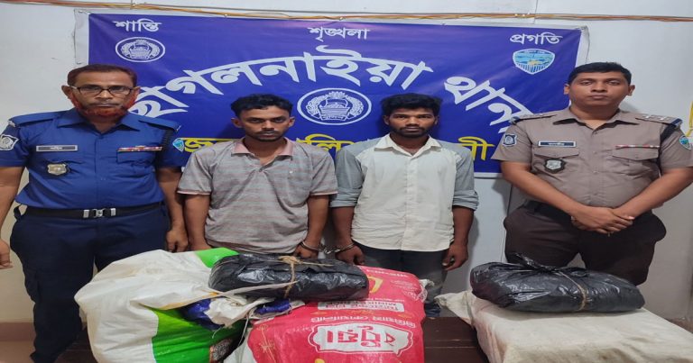 ছাগলনাইয়ায় ৩০ কেজি গাঁজাসহ দুইজন আটক