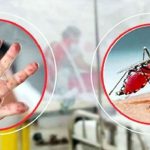 ডেঙ্গু ও হামে প্রাণহানি থামছেই না, আরও প্রাণ গেল ৮ জনের