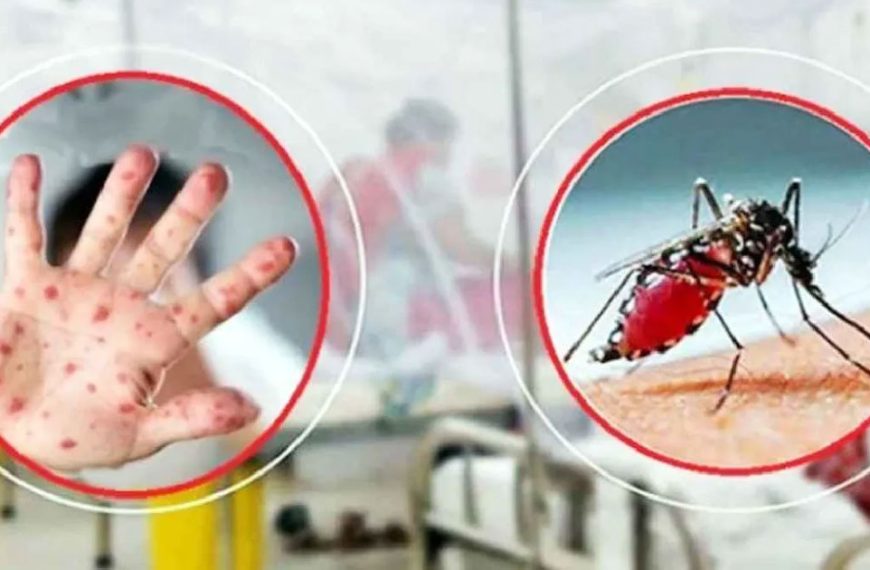 ডেঙ্গু ও হামে প্রাণহানি থামছেই না, আরও প্রাণ গেল ৮ জনের